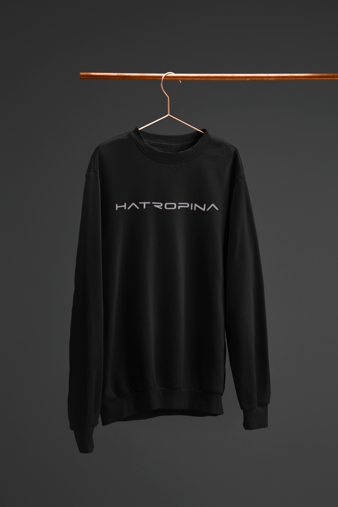 Unisex crew neck sweatshirt Hatropina BL 