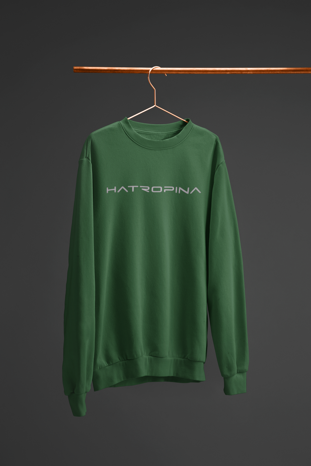 Hatropina unisex crewneck sweatshirt BG 